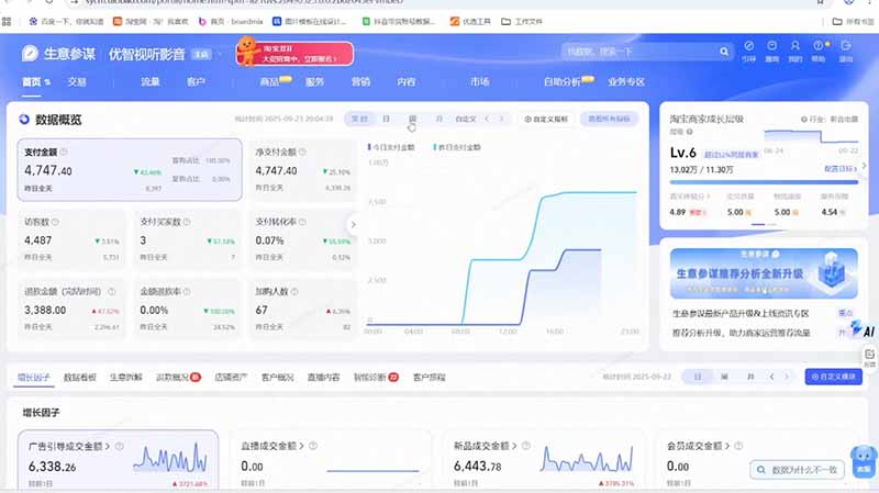 淘宝VIP特训课-更新:蓝海选品+付费投放|短视频AI运营|大促起爆全流程,破解店铺无流量无利润难题