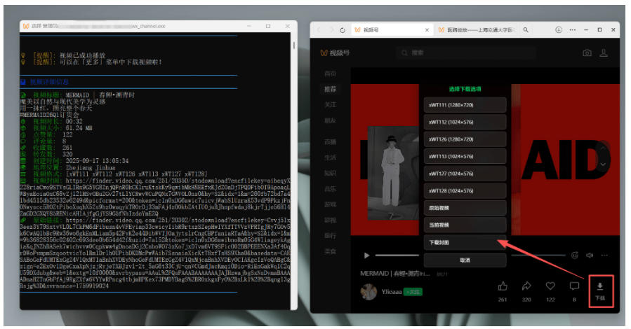 Github热门工具,视频号下载神器又来了!一键注入下载按钮,轻松下载,使用便捷wx_channel Github热门工具,视频号下载神器又来了!一键注入下载按钮,轻松下载,使用便捷wx_channel