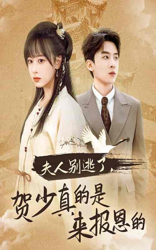 夫人别逃了贺少真的是来报恩的（63集全）-紫橙资源网