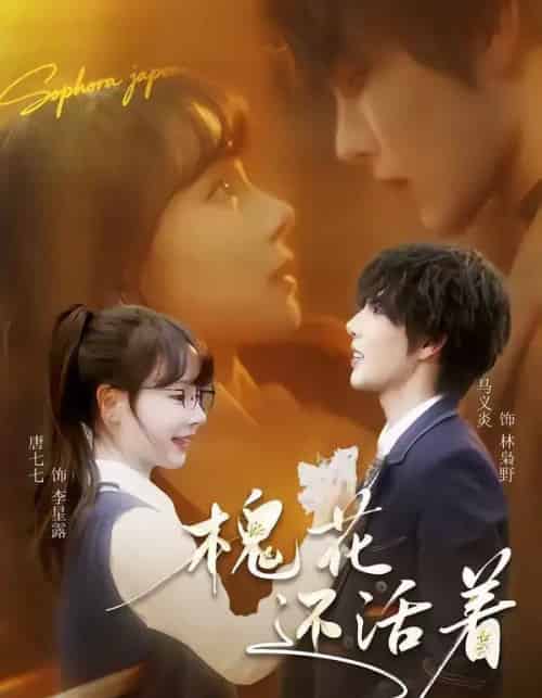 槐花还活着(70集全)马义炎&唐七七-紫橙资源网