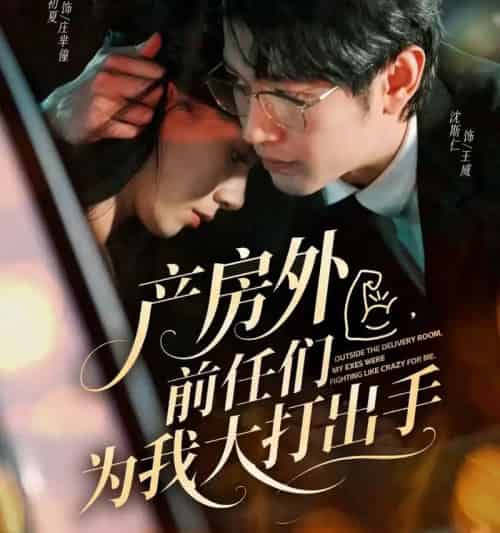 产房外，前任们为我大打出手（79集全）王威＆庄芈僮-紫橙资源网