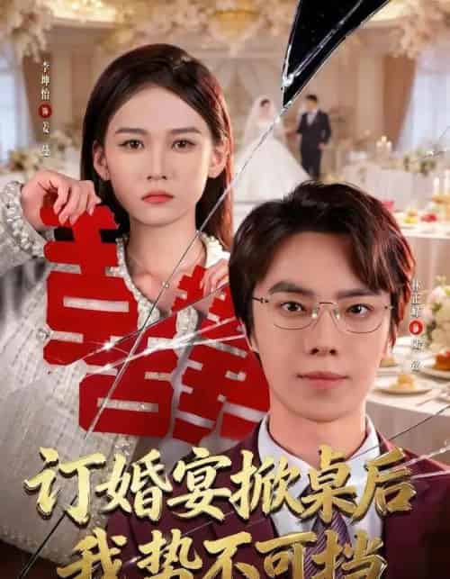 订婚宴掀桌后我势不可挡（73集全）林正峰＆李坤怡-紫橙资源网