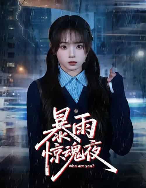 暴雨惊魂夜(49集全)陈舒宜&咸俊旭-紫橙资源网