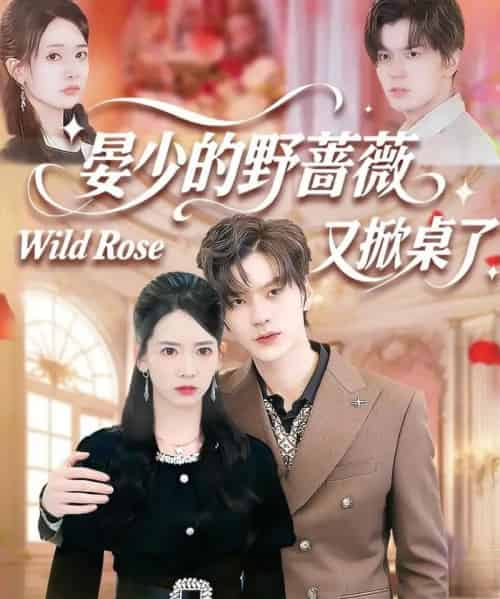 晏少的野蔷薇又掀桌了（120集全）张嘉松＆刘姝妤-紫橙资源网