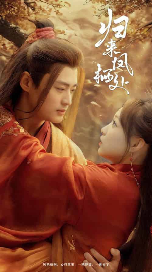 归来凤栖处（60集全）秦远＆董子源-紫橙资源网