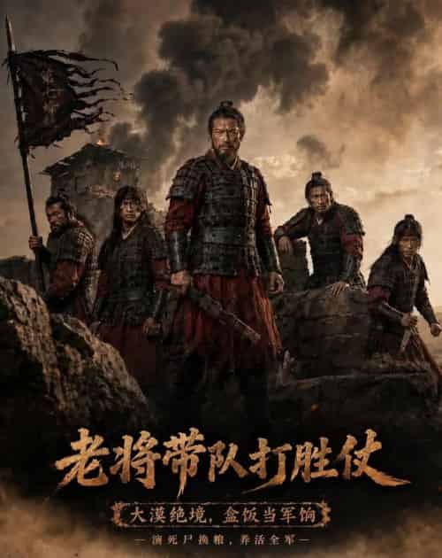 老将带队打胜仗(81集全)AI-紫橙资源网