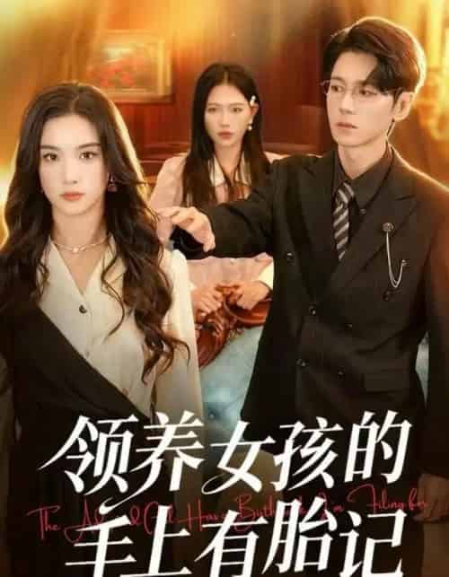 领养女孩的手上有胎记（60集全）王宇婧＆刘君尧-紫橙资源网