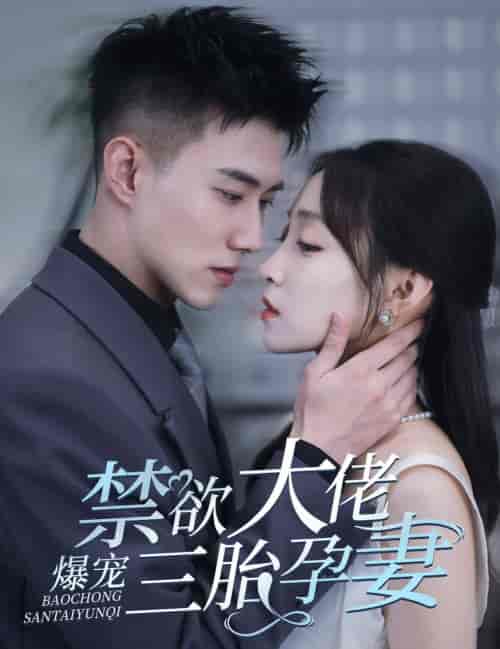 禁欲大佬爆宠三胎孕妻(60集全)黄文博-紫橙资源网