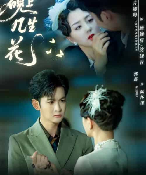 砚上几生花（62集全）章晓雅＆葛佳佳-紫橙资源网