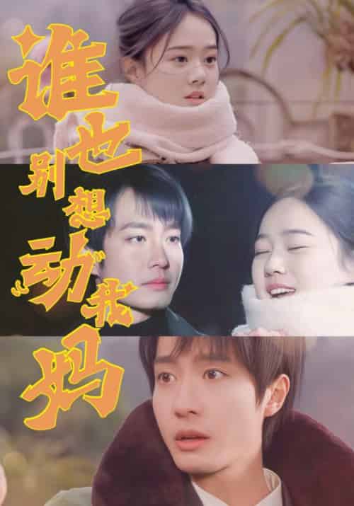 谁也别想动我妈（44集全）冯晓宁-紫橙资源网