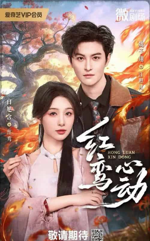 红鸾心动(60集全)白旭含 &W魏子翔-紫橙资源网