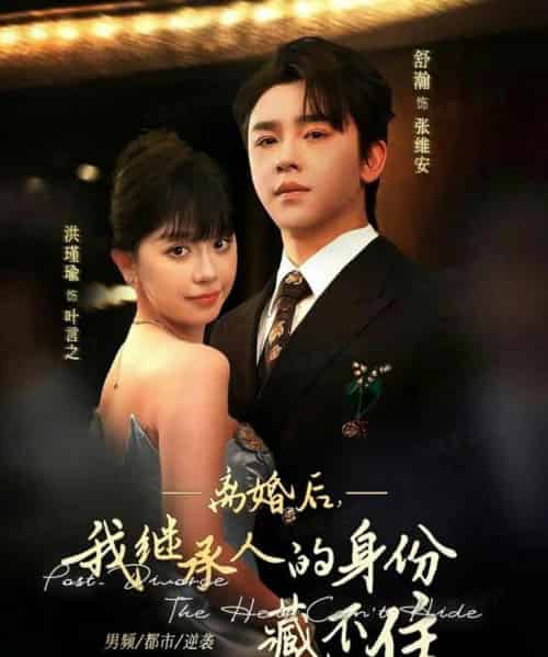 离婚后,我继承人的身份藏不住(80集全)舒瀚&洪瑾瑜-紫橙资源网