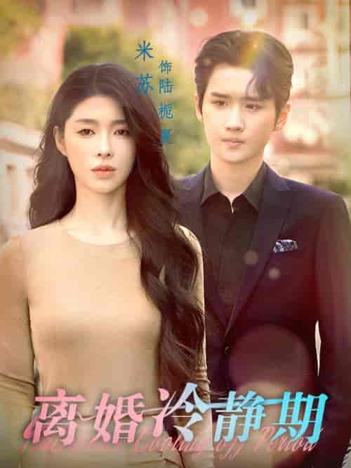 离婚冷静期(29集)-紫橙资源网