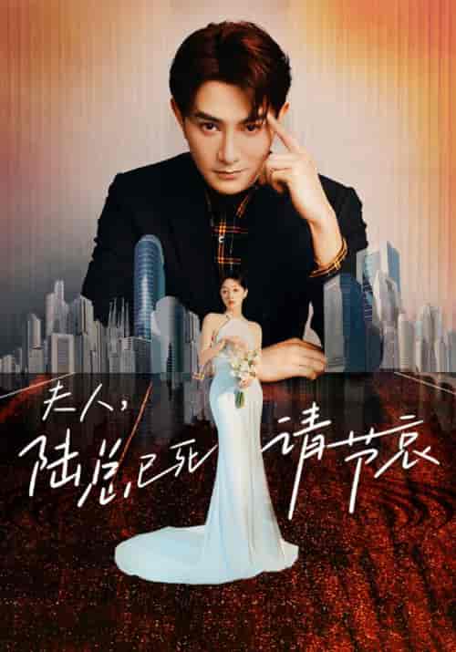 夫人,陆总已死请节哀(95集)-紫橙资源网