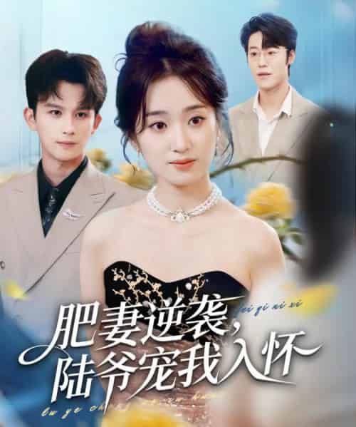 肥妻逆袭，陆爷宠我入怀（62集全）漆培鑫＆史小叶-紫橙资源网