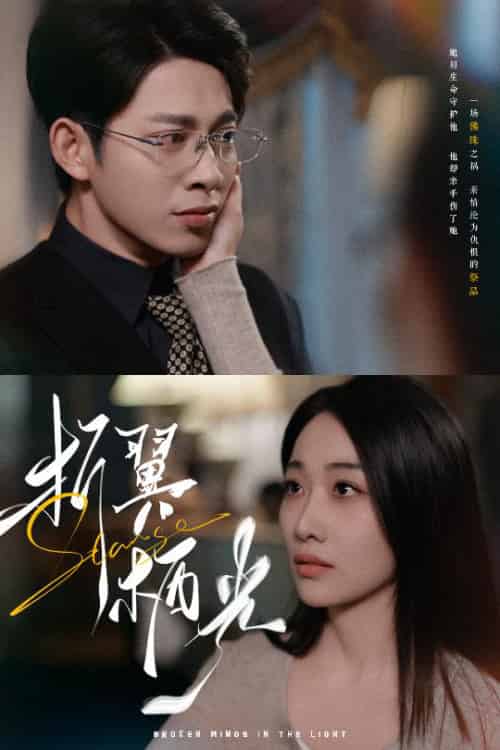 折翼栖光（43集全）白杨滋＆张钰静-紫橙资源网