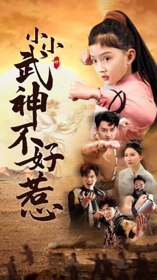 小小武神不好惹（52集全）-紫橙资源网