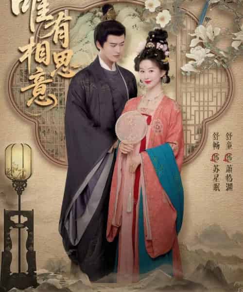 唯有相思意（100集全）舒畅＆舒童-紫橙资源网