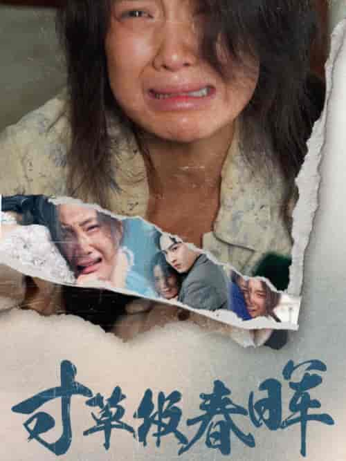 寸草报春晖（65集全）-紫橙资源网
