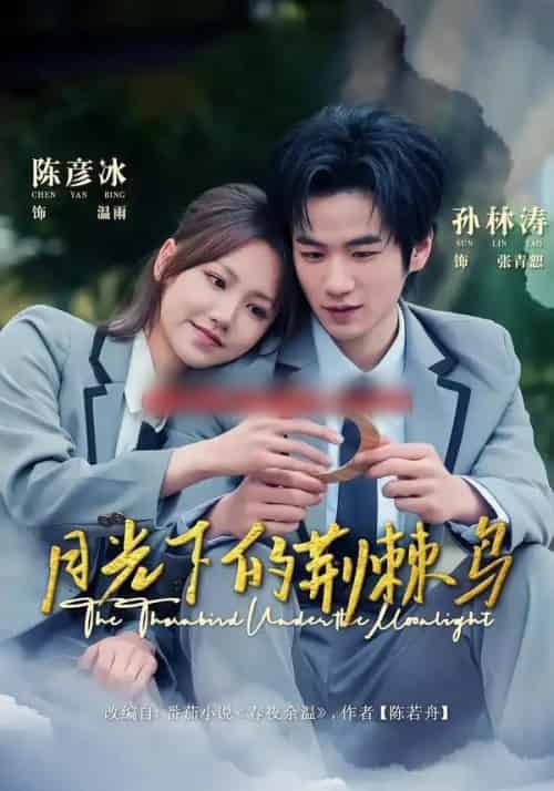 月光下的荆棘鸟(80集全)陈彦冰&孙林涛-紫橙资源网