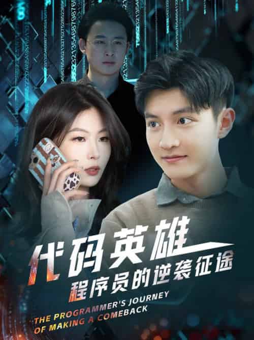 代码英雄程序员的逆袭征途（6集全）-紫橙资源网