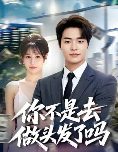 你不是去做头发了吗（80集全）罗豪宇＆华雯 - 紫橙短剧