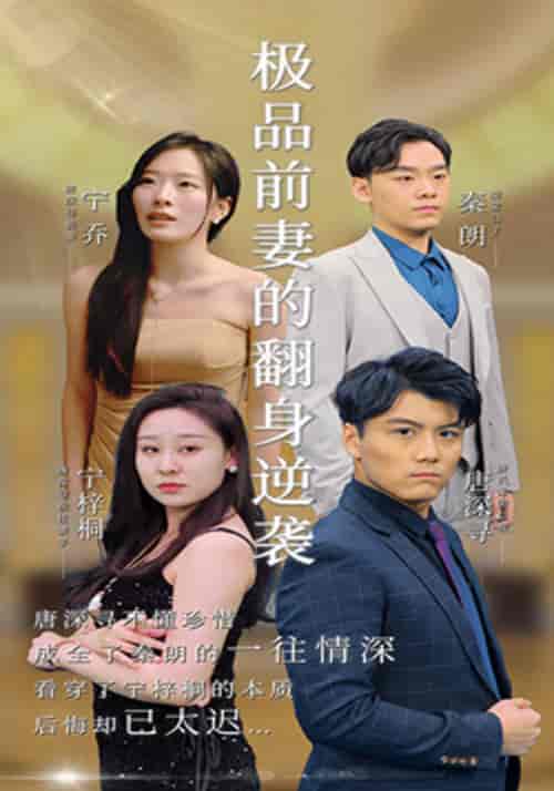 极品前妻的翻身逆袭（100集全）唐深寻＆宁乔-紫橙资源网