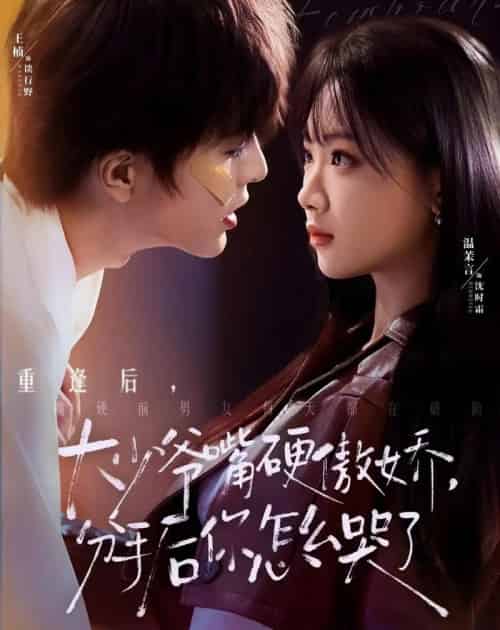 大少爷嘴硬傲娇,分手后你怎么哭了(80集全)王楠&温茉言-紫橙资源网