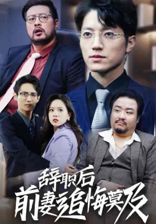 辞职后前妻追悔莫及（30集全）-紫橙资源网