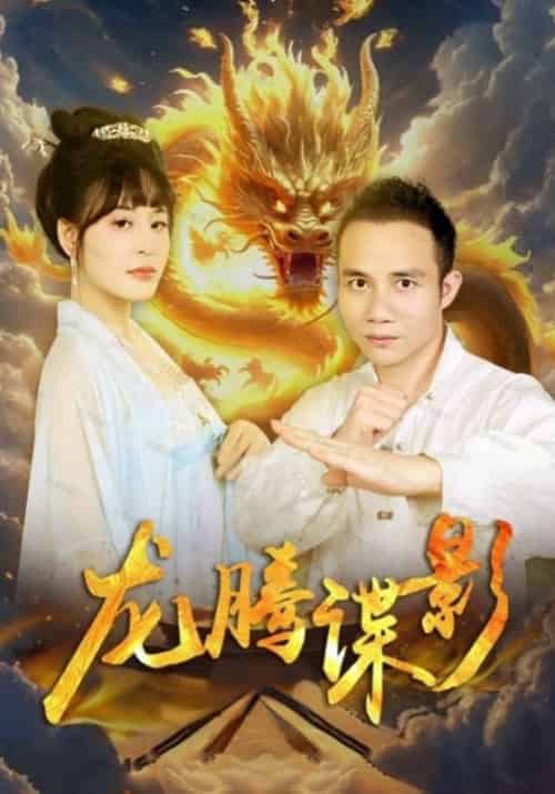 龙腾谍影（45集全）龙旭＆付玲云-紫橙资源网