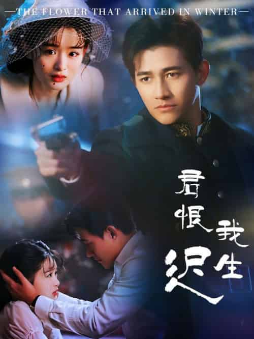 君恨我生迟&司令府就是我的家(60集全)李子锋&李紫一-紫橙资源网