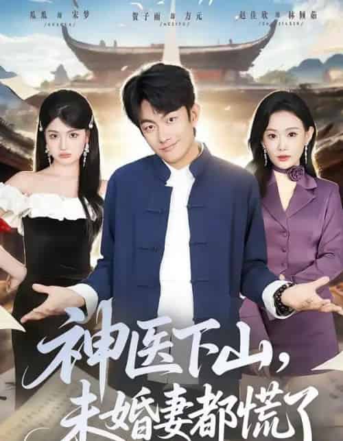 神医下山,未婚妻都慌了(71集全)贺子雨&赵佳欣-紫橙资源网