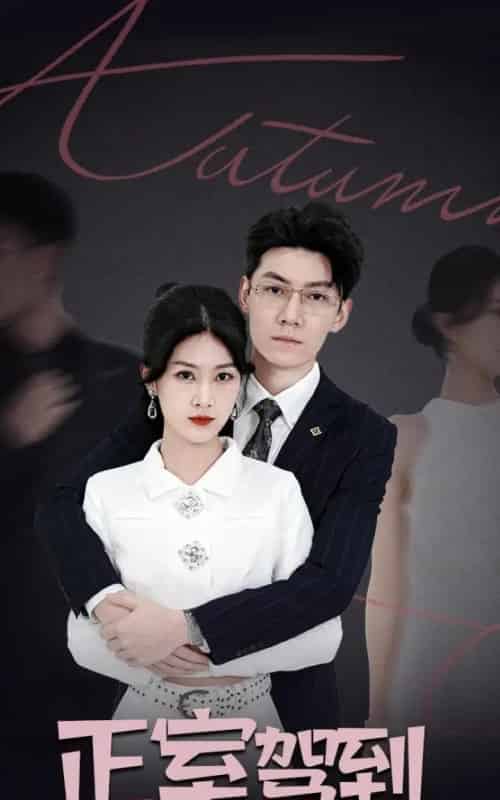 正室驾到（35集全）丁语乔＆陈泓龙 - 紫橙短剧