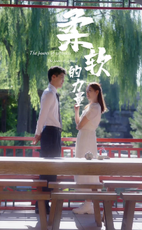 柔软的力量（80集全） - 紫橙短剧