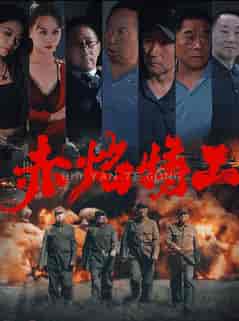 赤焰特工（56集全）-紫橙资源网