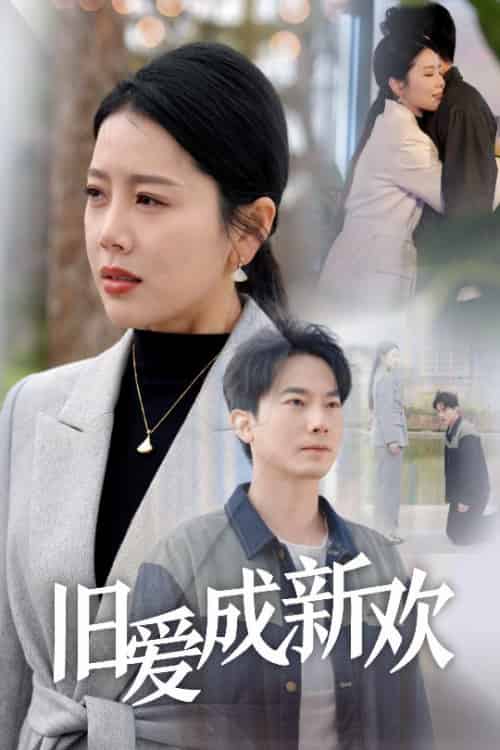 旧爱成新欢（30集全）丁海霞-紫橙资源网