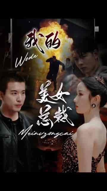 我的富豪美女总裁（我的极品女总裁）（长篇完整版）-紫橙资源网