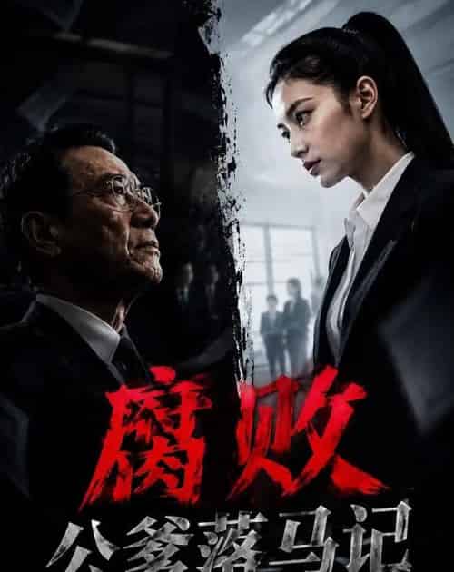 腐败公爹落马记(16集全)AI-紫橙资源网