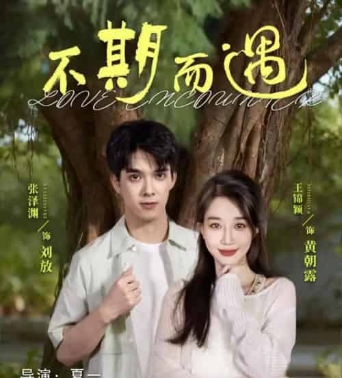 不期而遇(62集全)张泽渊&王锦颖-紫橙资源网