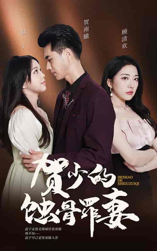 贺少的蚀骨罪妻（101集）-紫橙资源网