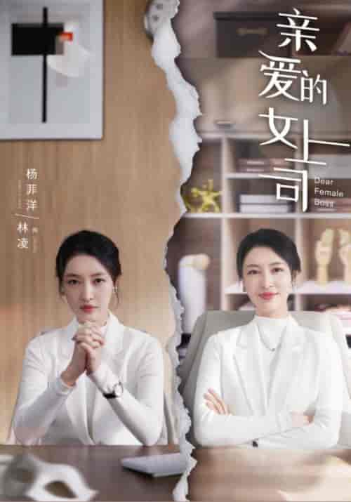 亲爱的女上司（30集全）小林＆林凌-紫橙资源网