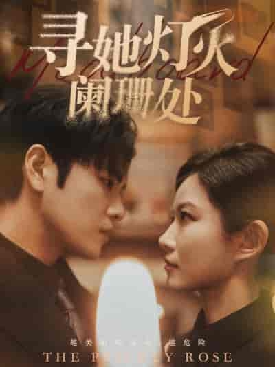 寻她灯火阑珊处（61集）-紫橙资源网