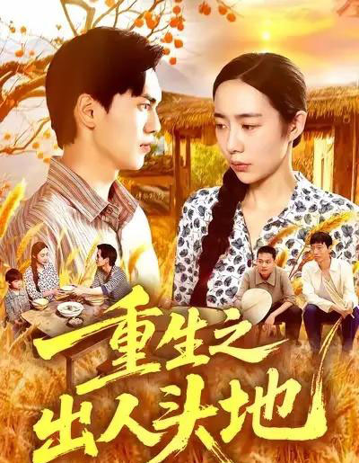重生之出人头地（88集全）杨林涛＆林准＆王启航-紫橙资源网
