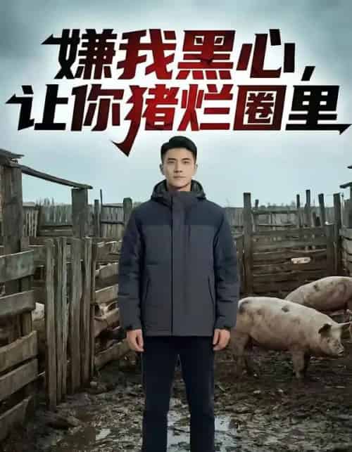 嫌我黑心，让你猪烂圈里（20集全）AI-紫橙资源网