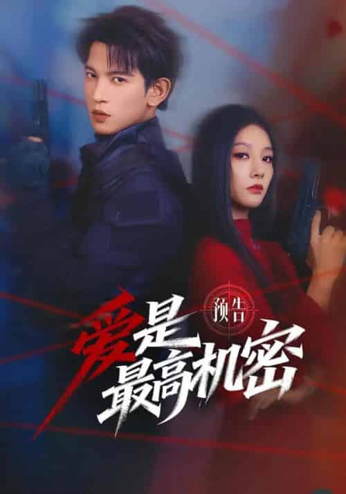爱是最高机密（24集全）王嘉懋＆朱丽岚-紫橙资源网