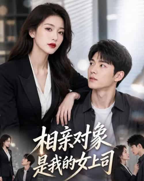 相亲对象是我的女上司(45集全)AI-紫橙资源网