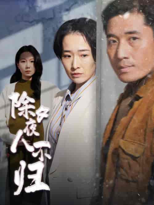 除夕夜人不归（47集全）-紫橙资源网