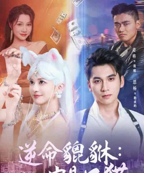 逆命貔貅它是只猫（35集）姜将-紫橙资源网