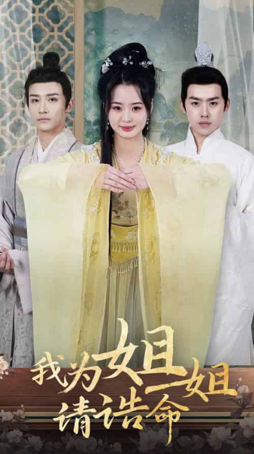 我为姐姐请诰命（65集全）-紫橙资源网