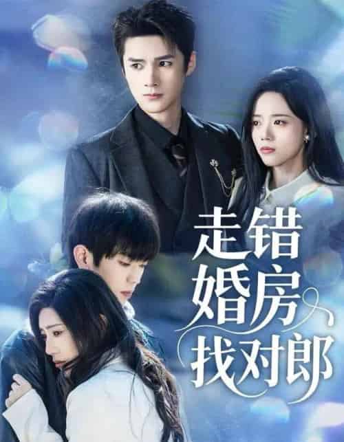 走错婚房找对郎（50集全）刘辰锐＆刘艺然-紫橙资源网